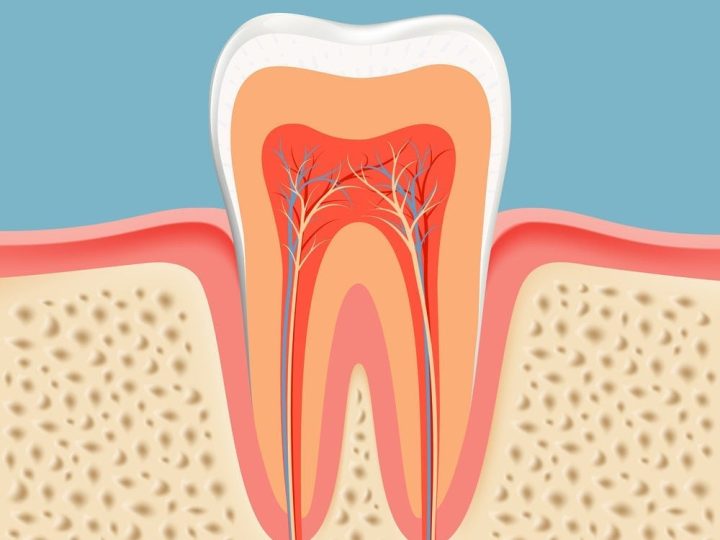 Root Canals in Goldsboro, NC